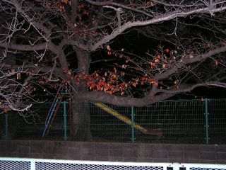 011