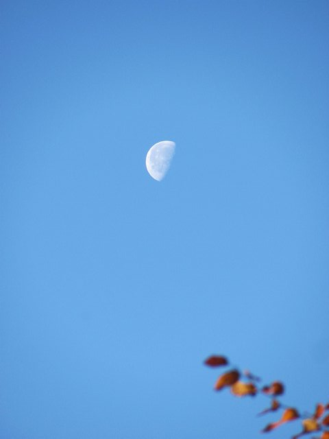 09