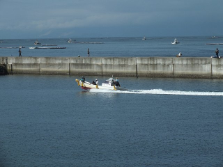 DSCF0233 DSCF0233