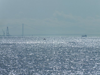 DSCF0246 DSCF0246