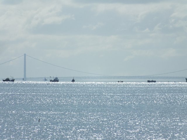 04